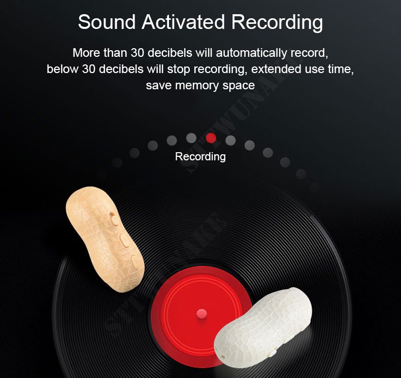 Regjistrues i zërit dhe zërit - regjistrim i aktivizuar me zë