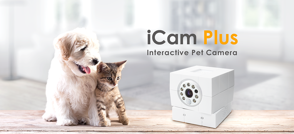 Monitorimi i kamerës IP në shtëpi plus kafshët