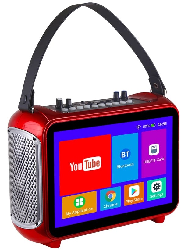 Set mini portativ karaoke me ekran dhe mikrofon