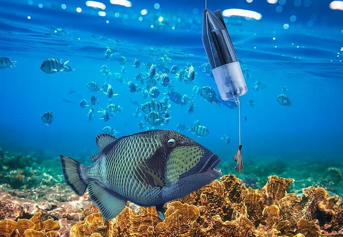 Kamera e peshkut nënujor